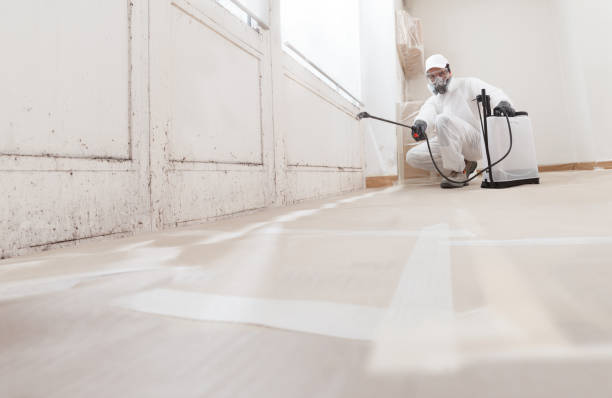 24/7 Emergency Mold Cleanup experts in Rockville, MD