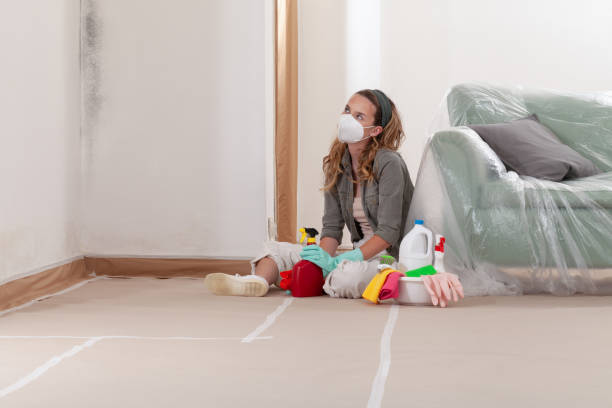 Reliable Mold Cleanup contractor in Rockville, MD by WQB Mold Removal